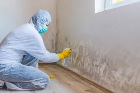 Mold Documentation for Insurance Claims in Lincolnwood, IL